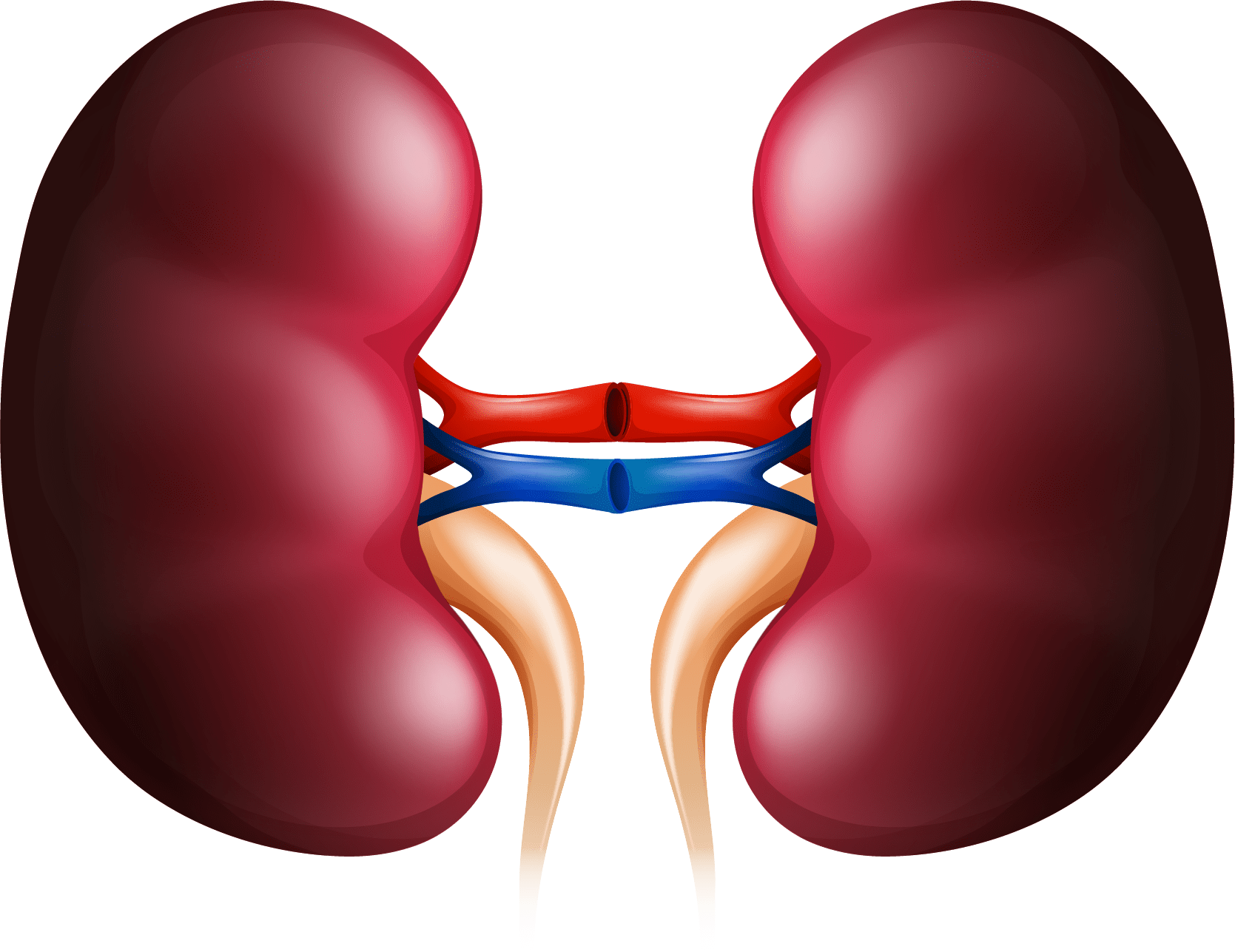 Kidney Disorders